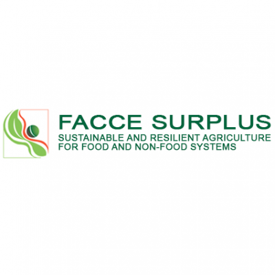 FACCE SURPLUS logo