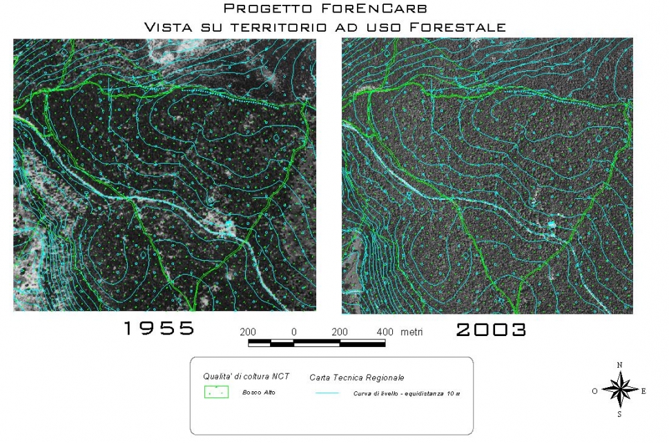 Nuoro Forestry School - DipAgr - UniSS.it user picture