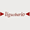Welcome Management - Ligucibario user picture