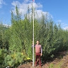 Leonid Melezhyk user picture