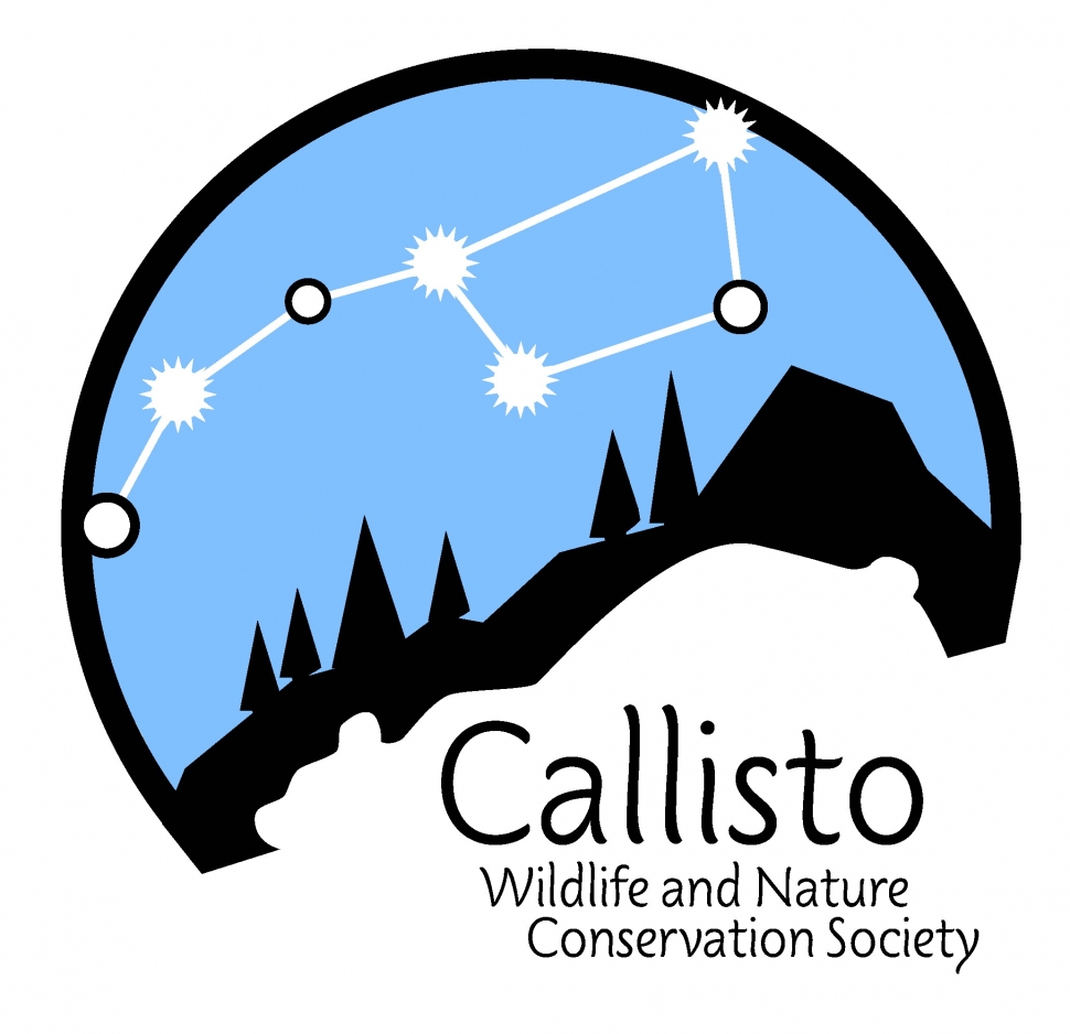 CALLISTO user picture