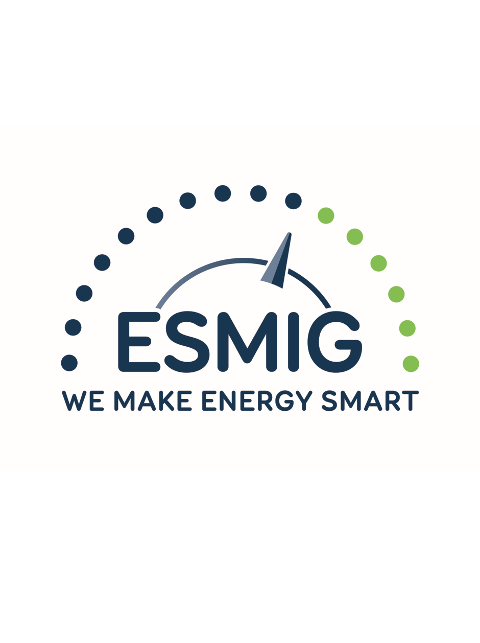 ESMIG- the European voice of smart energy solution providers user picture