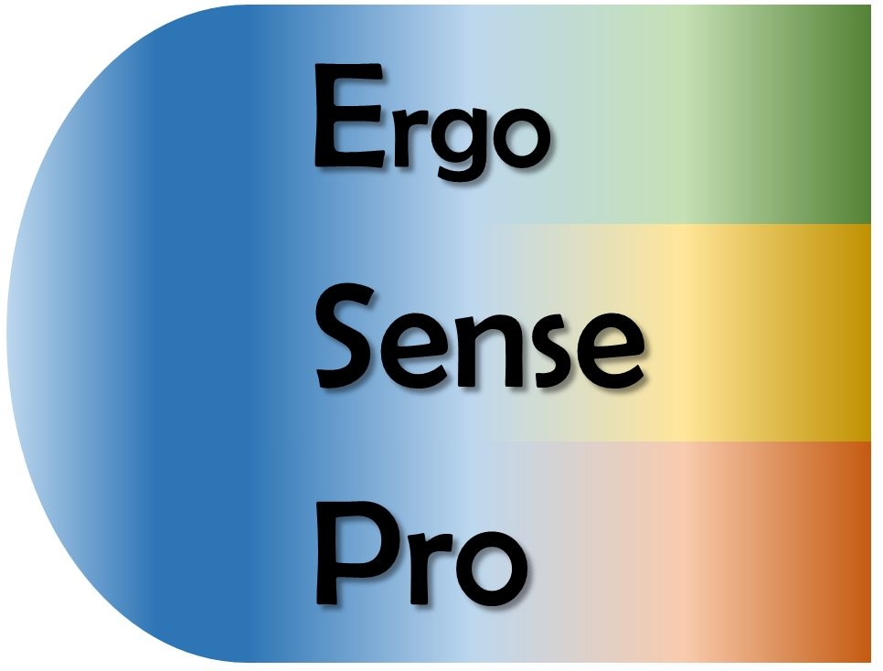 ErgoSensePro user picture