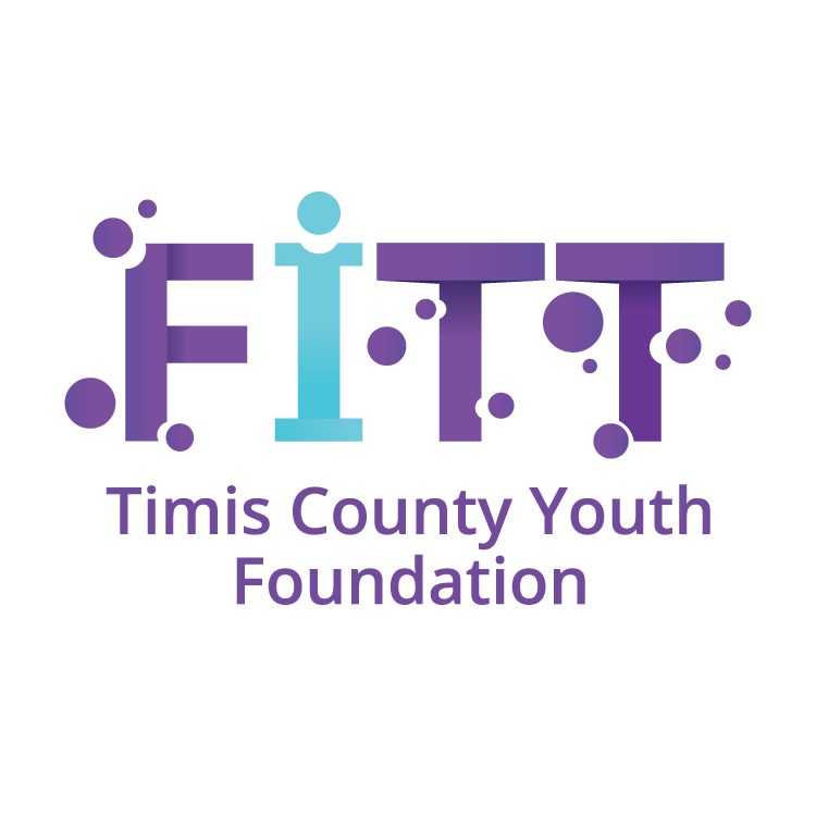 FITT - Timis County Youth Foundation user picture