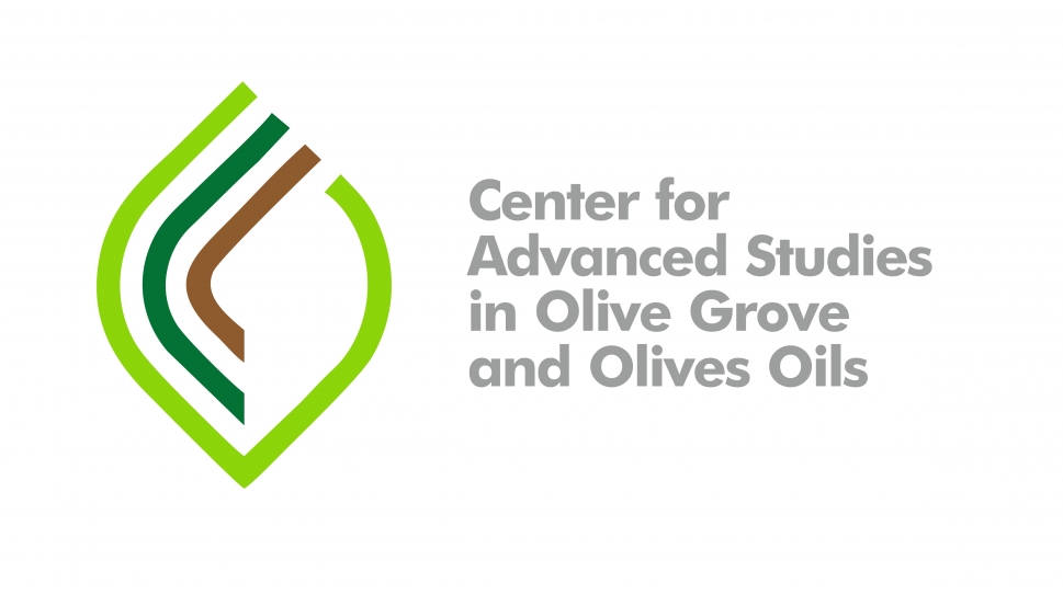 Center for Advanced Studies in Olive Grove and Olive Oils user picture