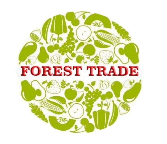 Forest Trade user picture