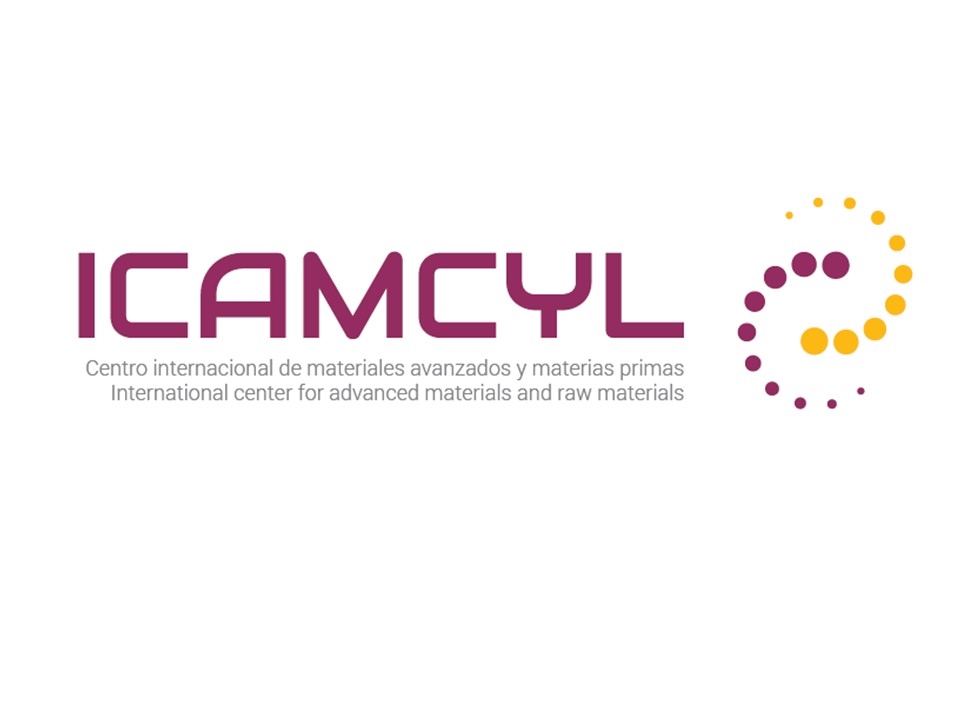 ICAMCYL (International Center in Advanced Materials and raw materials of Castilla y León) user picture