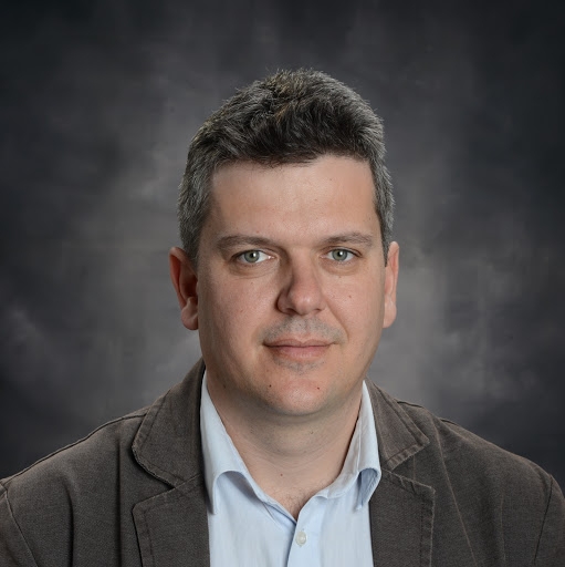 Prof. Dimitrija Angelkov PhD user picture