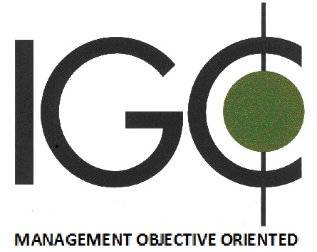 IGC SRL Management consulting user picture